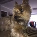 Philip Sales - @philip_sales - Instagram