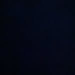 Nix - @phillip_schaefer109 - Instagram