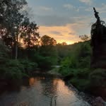 Phillip Alexander Schaefer - @divinetiminghealingarts - Instagram