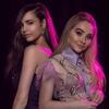 phillipshaffer435 - @phillipshaffer435 - TikTok