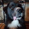 Phillip Silver - @phillip.silver - TikTok