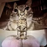 Phillip smart - @mrphillenvy - Instagram