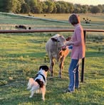 Phyllis PJ Phillips Spradley - Facebook