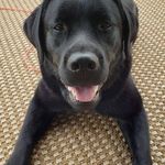 Phillip Staley - @phillip.staley.1 - Instagram