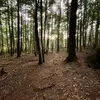 Phillip Staley - @phillip.staley - TikTok