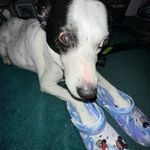 Phillip Stallings - @phillipstallings - Instagram
