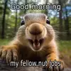 Phillip Stecker - @phillip.stecker - TikTok