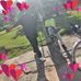 Phillip Stein - Facebook