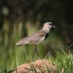 Phillip Steinberg - @phillip_1008 - Instagram