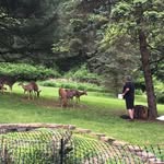 Phillip Stetler - @froggy1339 - Instagram