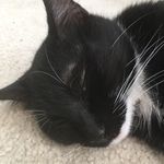 Phillip stover - @stover_phillip - Instagram