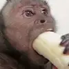 😃👌 - @phillip.straighta - TikTok