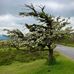 Phil Stuckey - Facebook