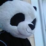 Phillip R. Stultz - @pstultz420 - Instagram