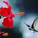 Phillip Suarez - @phil.lipe59 - Instagram