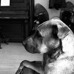 Phil Tapley - Facebook