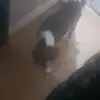 phillipsteel590 - @phillipsteel590 - TikTok