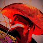 Phillip Thrasher - @phillipthrasher9 - Instagram
