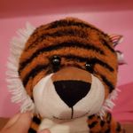 Phillip🐯 - @phillip_the_tiger - Instagram