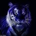 Phillip Tiger - Facebook