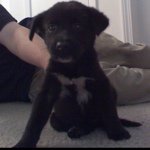 @phillip_tompkins - Instagram