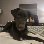 Philip Trapp - @philip.trapp - Instagram