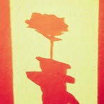 Philip Trice Coaching+ - @twentyforge - Instagram