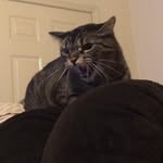 Phillip Tuck III - @phillip_tiii - Instagram