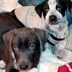 Phillip Tucker - @phillip.tucker.7169 - Instagram