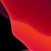 Phillip Vang987 - @everyone801 - TikTok