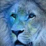 Philip Varney - Facebook