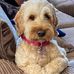 Phil Vickers - Facebook