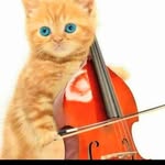 Phillip Villalobos - @phillip.villalobos - Instagram