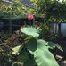 Philip Vo - Facebook