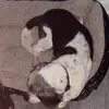 Phillip Warwick - @phillip.warwick28 - TikTok