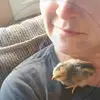 Phillip Warwick ???? - @phillip.warwick6 - TikTok