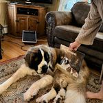 Philip Wellman - @phil_80_years - Instagram