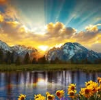 Phillip Wesley - Facebook
