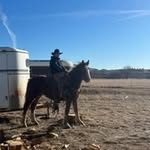 Phillip James Whiteman - @phillip.whiteman - Instagram