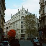 Philip Wilcox - @philip_wilcox - Instagram