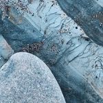 Phillip Wilcox - @philipip.wilcox.5.445_ - Instagram