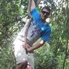 Garden Alchemy - @phillipwitt4 - TikTok