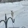 Phillip Witt - @phillip.witt - TikTok