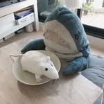 BlueSharkTobi - @phillip_wittebane1 - Instagram