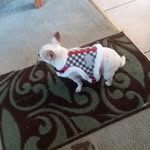 Phillip Wright - @phillip.wright.3914207 - Instagram
