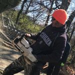 Phillip zook - @tree.muffin - Instagram