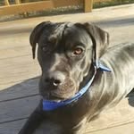 Phillip Zook - @zookphillip - Instagram