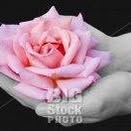 Phillis Chan - Facebook