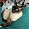 Phyllis Orlick - @phyllis.orlick - TikTok