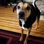 Phineas Doofenshmirtz Smith - @phinnstagram22 - Instagram